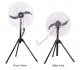 KF-2005 2 Blade Pedestal Fan